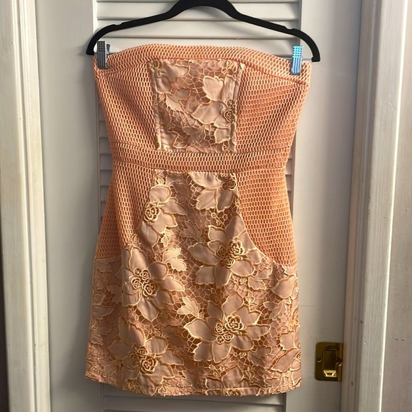 Lovers + Friends Dresses & Skirts - NWT Lovers + Friends Early Piece-Pink/Peach Stunning Embroidered Overlay Dress